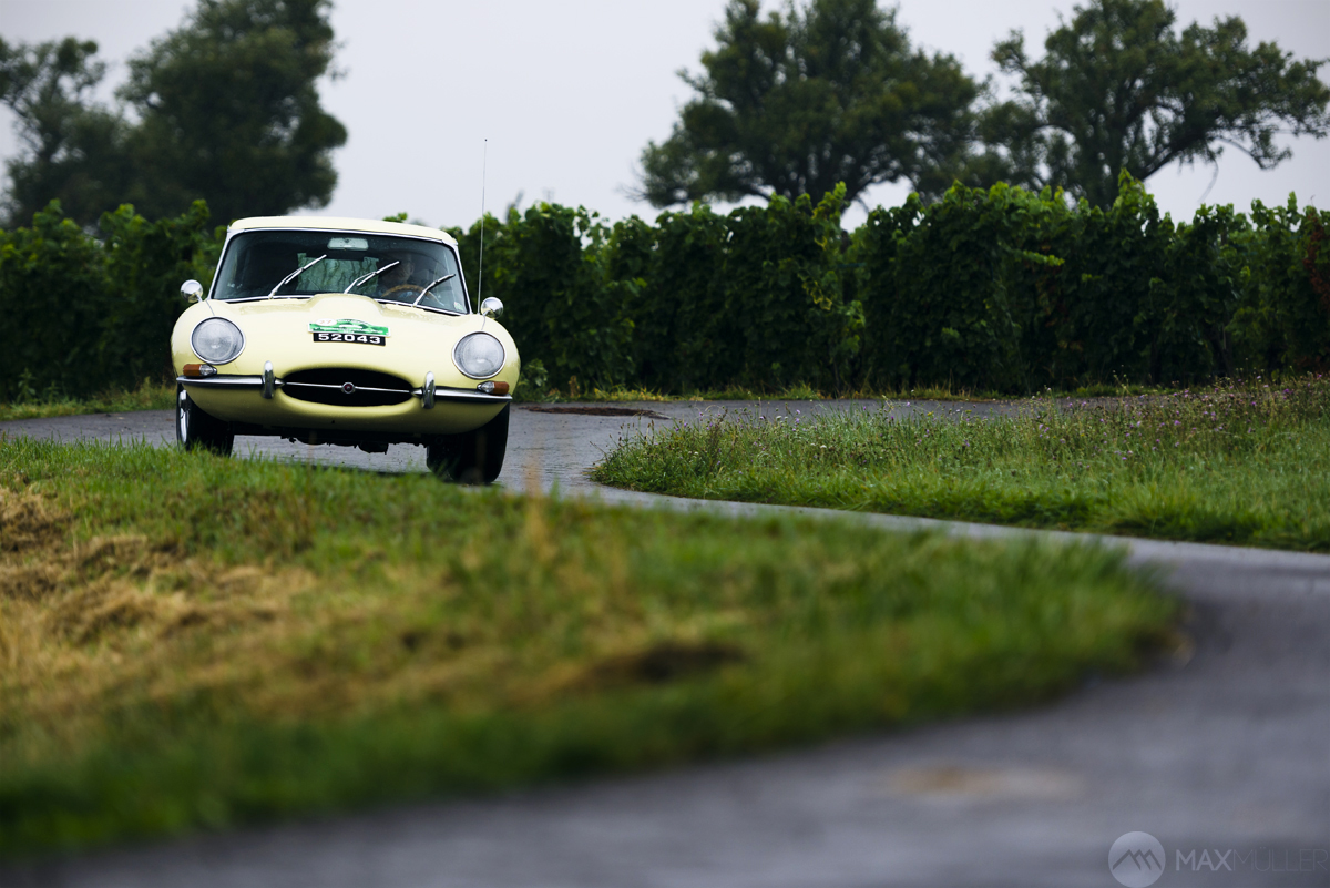 DSC_8752copy3def copy